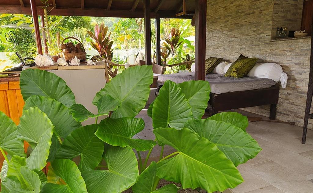 L'Oasi Guest House Baie Lazare  Dış mekan fotoğraf