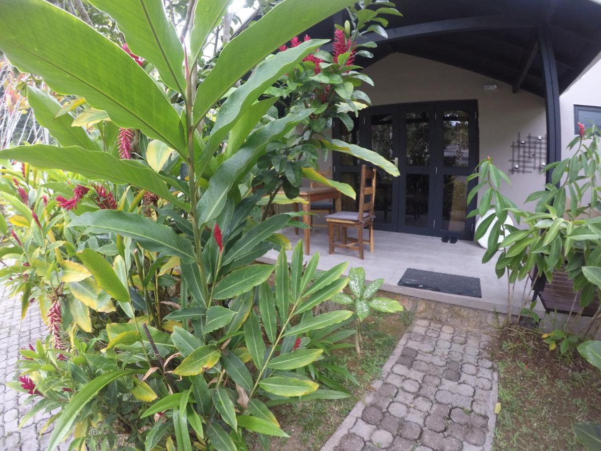 L'Oasi Guest House Baie Lazare  Dış mekan fotoğraf